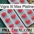 Vigra Xl Max Platinum 19
